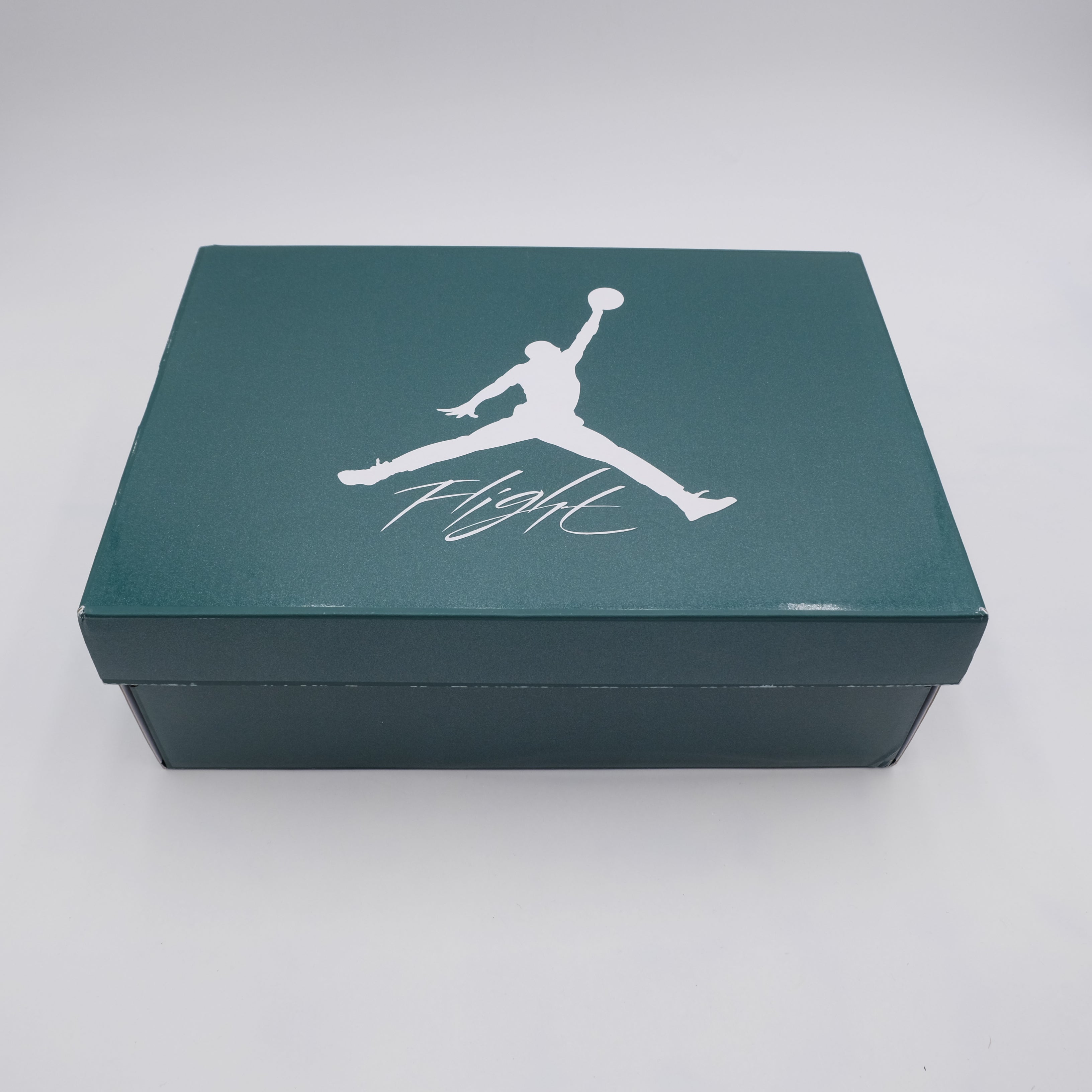 Jordan 4 Oxidized Green (Taille 42.5)