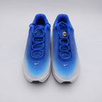 Air max Dn Racer Blue (taille 45)
