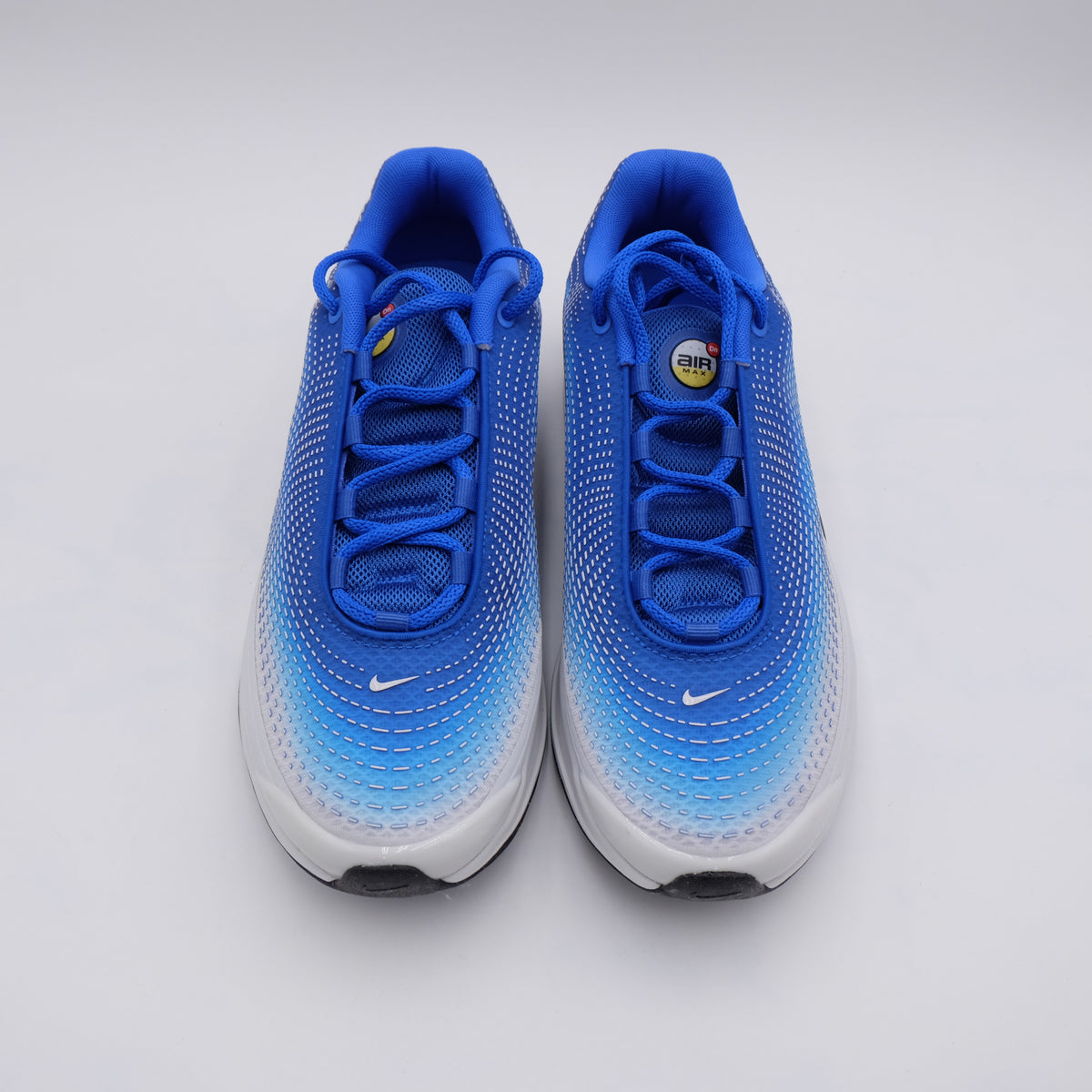 Air max Dn Racer Blue (taille 45)